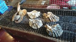 Oysters.jpegのサムネイル画像