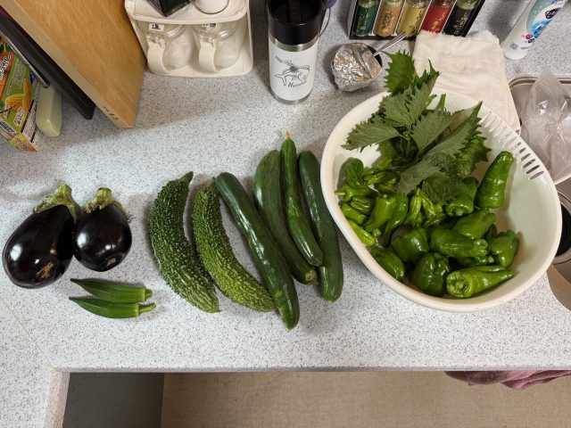 現在の画像に代替テキストがありません。ファイル名: 2025野菜-scaled.jpg