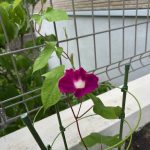現在の画像に代替テキストがありません。ファイル名: image0-004-rotated.jpeg