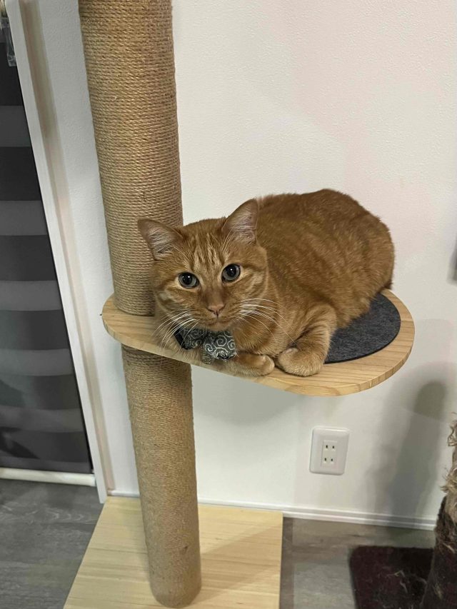 現在の画像に代替テキストがありません。ファイル名: 川瀬ブログ12月-scaled.jpg