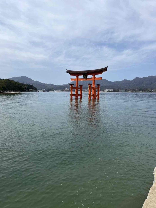 現在の画像に代替テキストがありません。ファイル名: IMG_5514.jpg